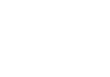 Partner 10