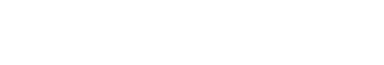 Partner 9