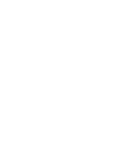 Subsidiary 4