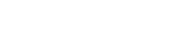 Subsidiary 7